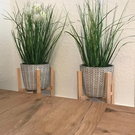 Schroeder Apartment