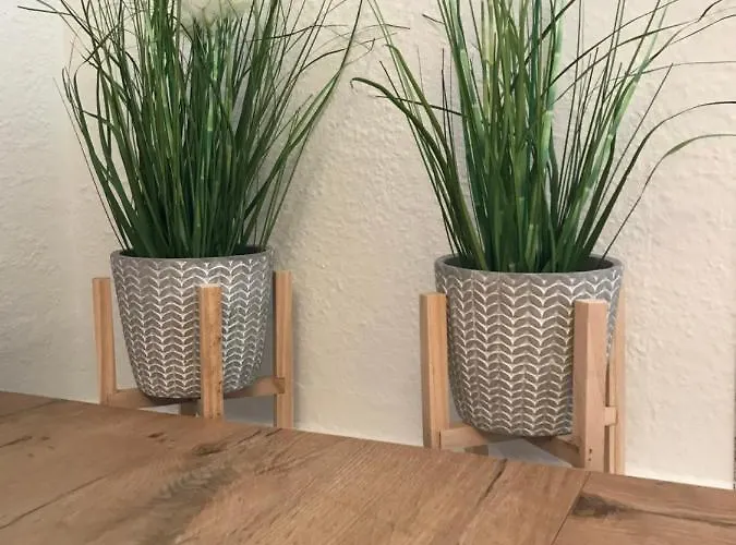 Schroeder Apartament